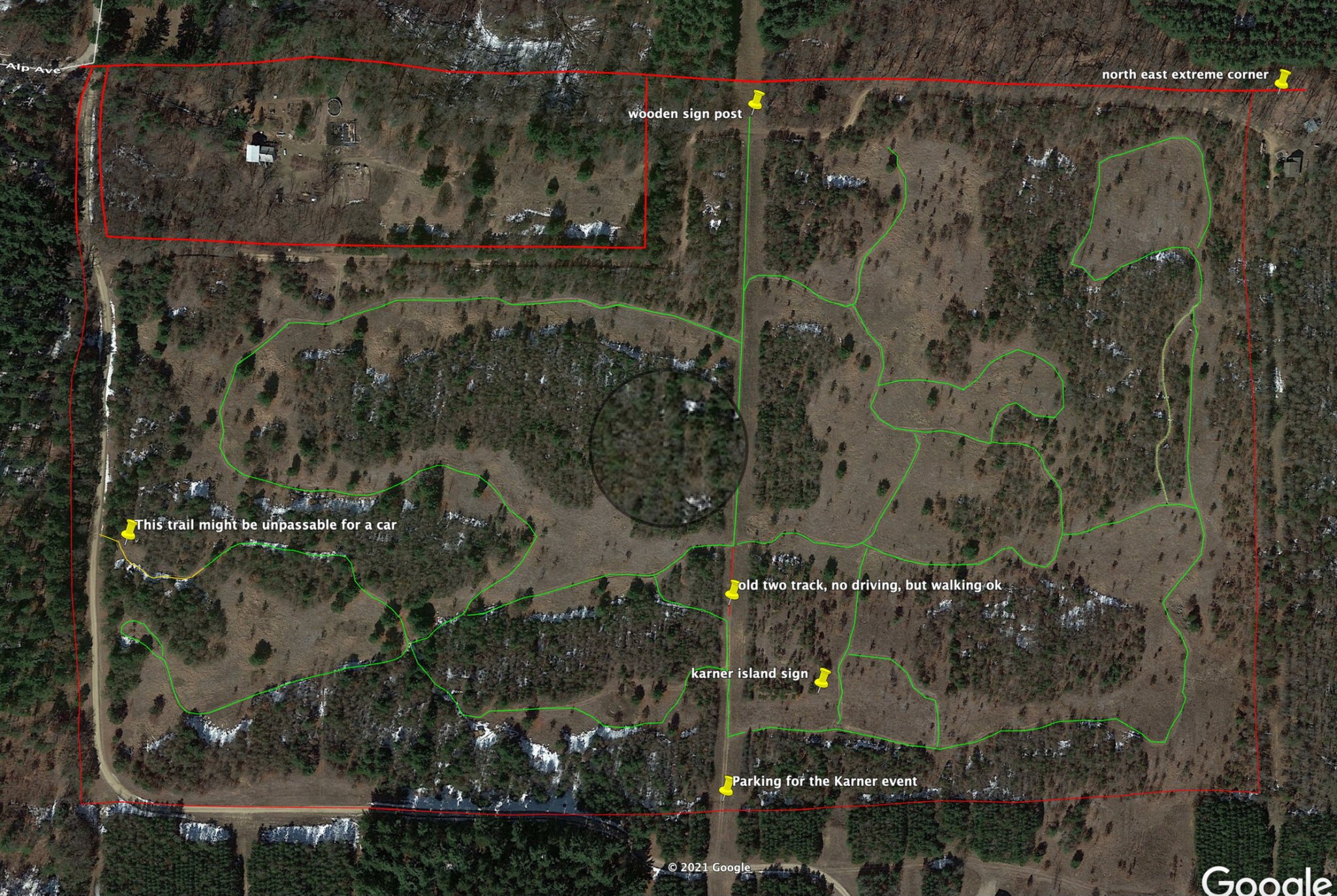 Screen Shot 2021-07-19 at 9.54.13 AM.jpeg