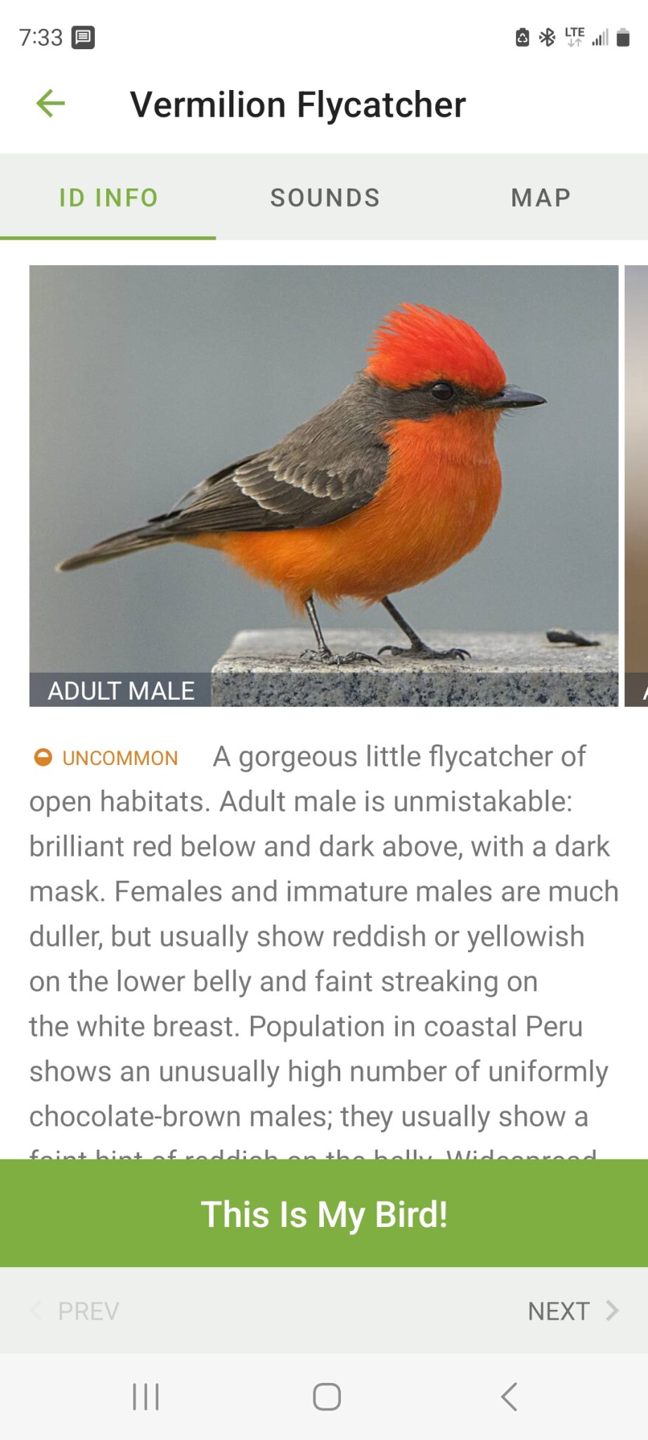 Screenshot_20230329_193316_Merlin Bird ID.jpg