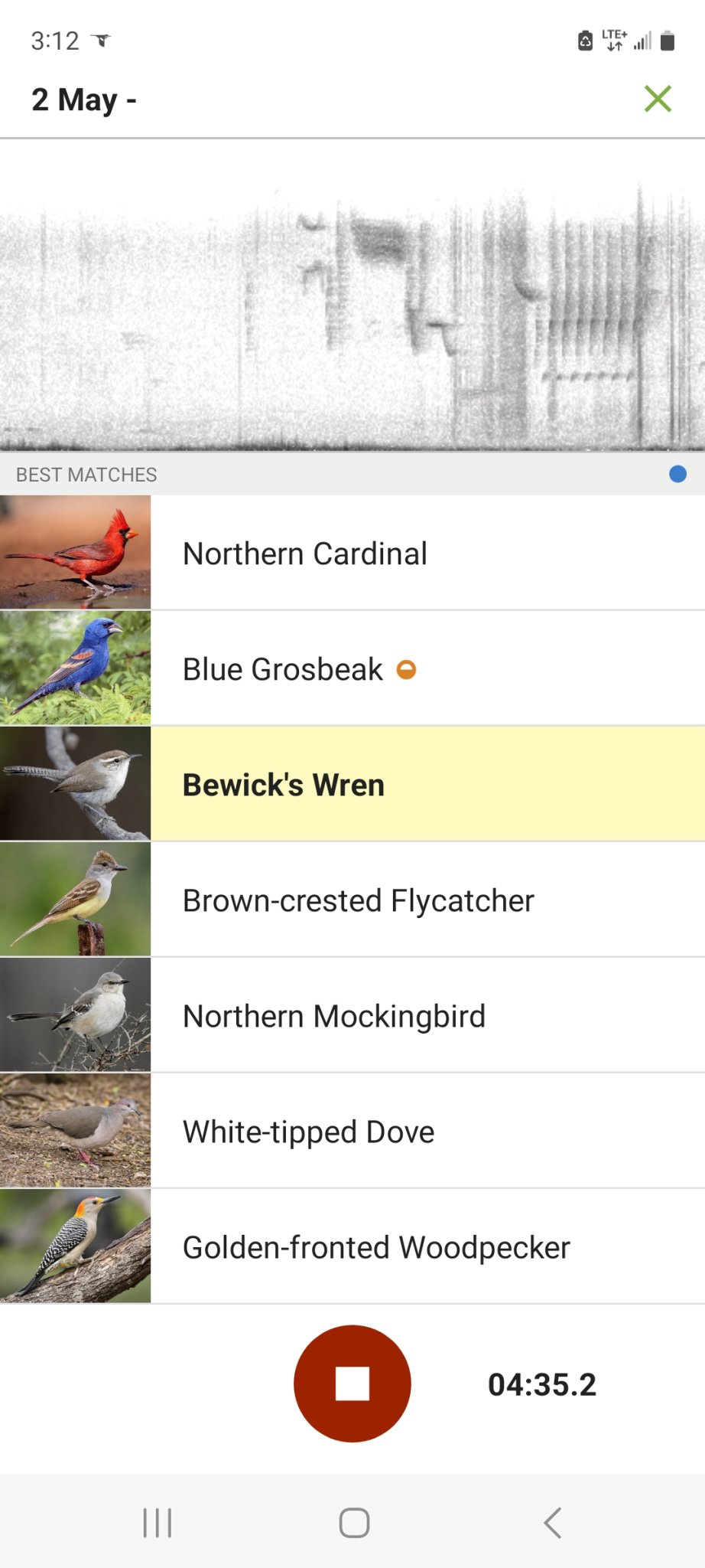 Screenshot_20230502_151204_Merlin Bird ID.jpg