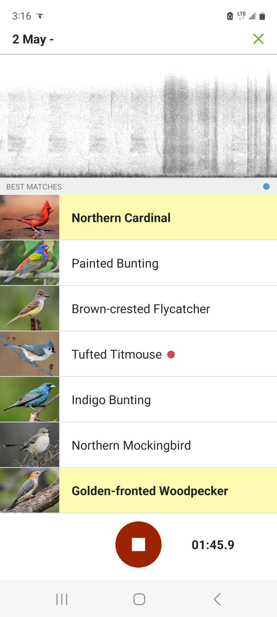 Screenshot_20230502_151607_Merlin Bird ID.jpg
