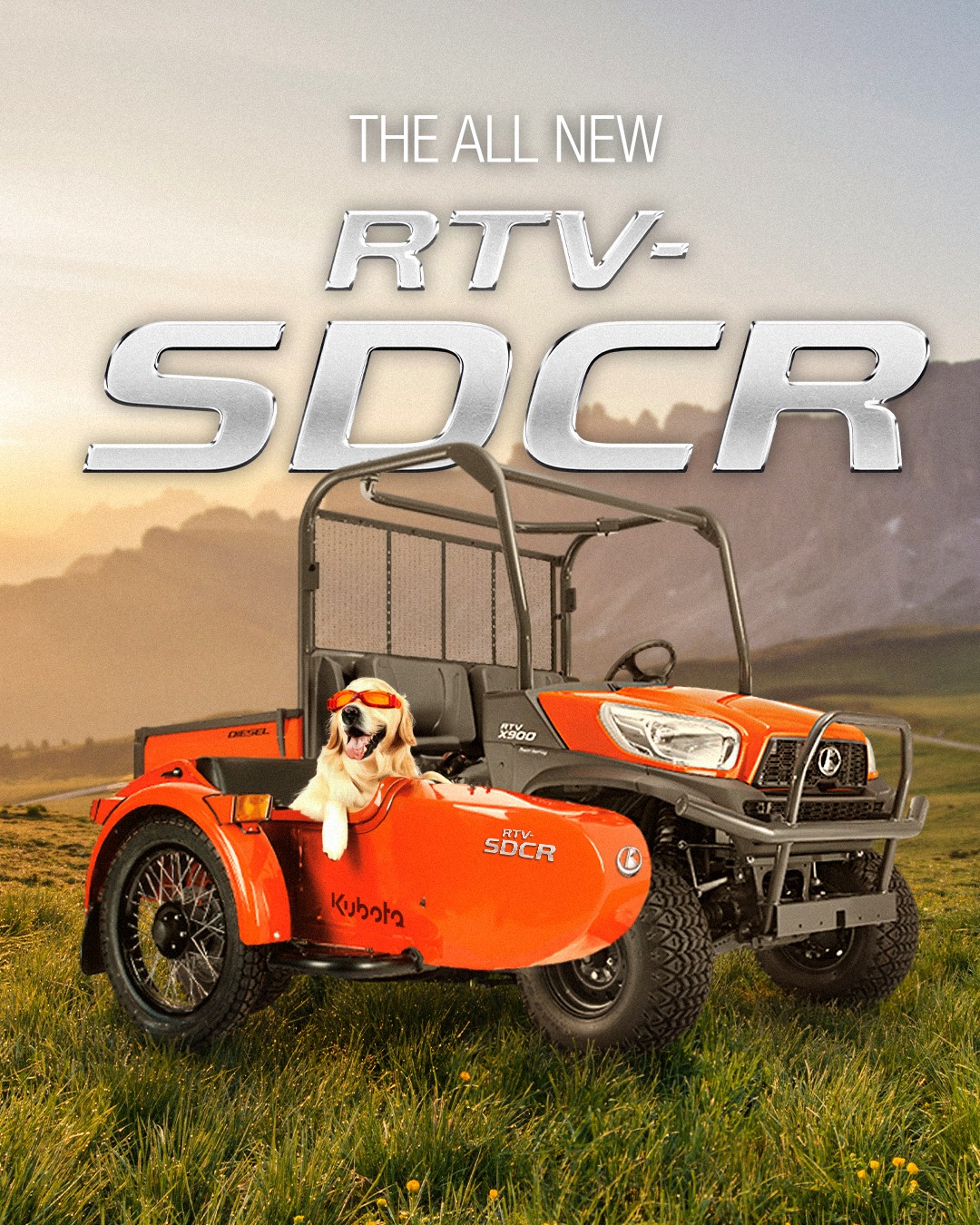 sdcr.jpg