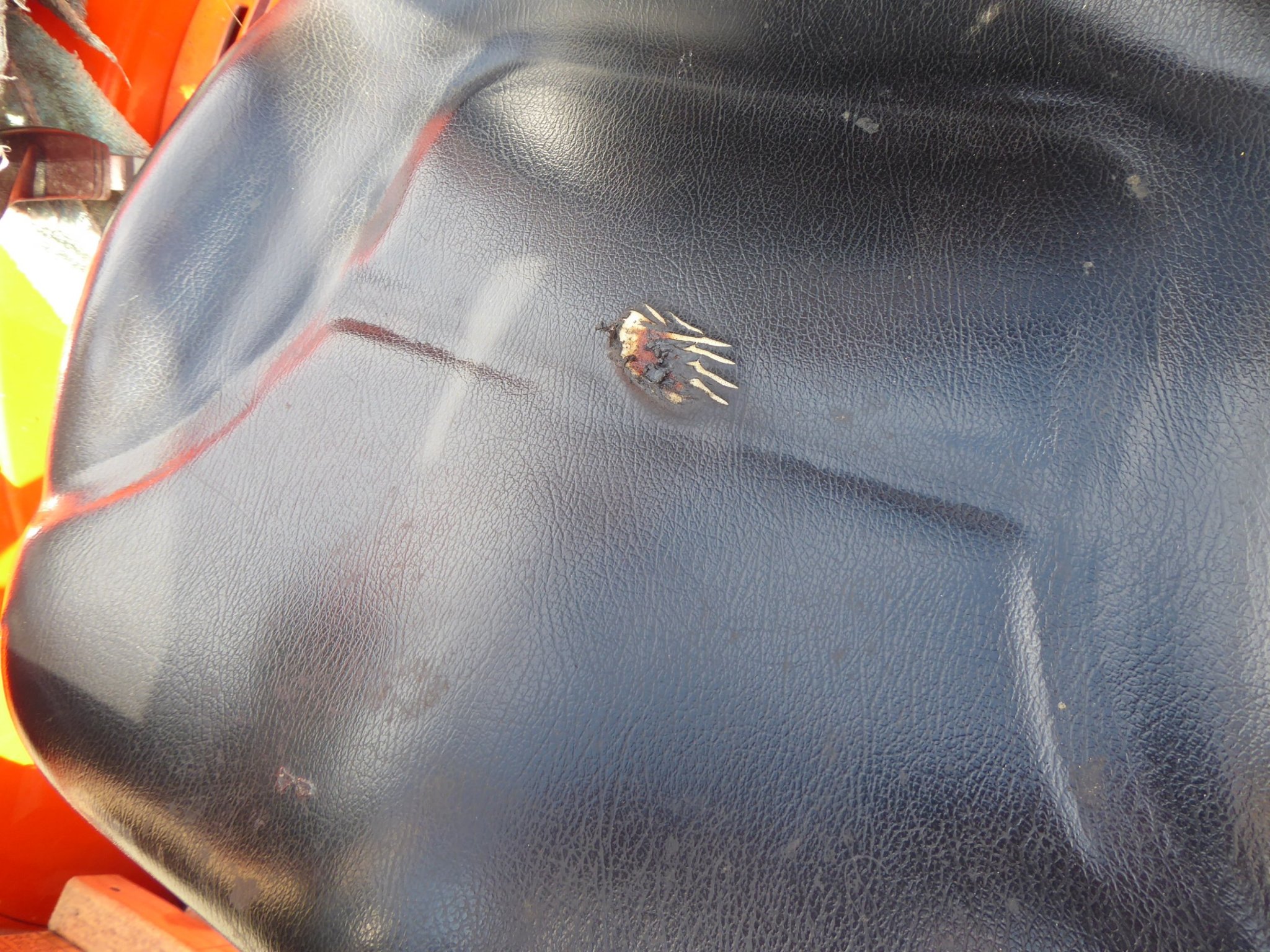 SeatRepair1.JPG