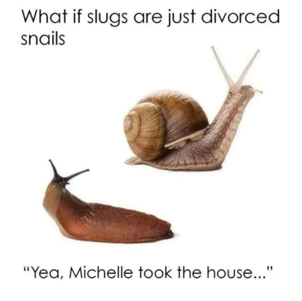 snails.png