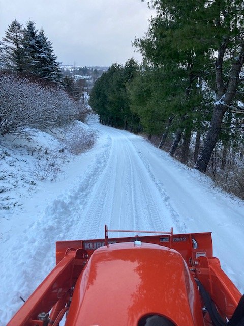 Snow-Headed Down 1-17-22.jpg