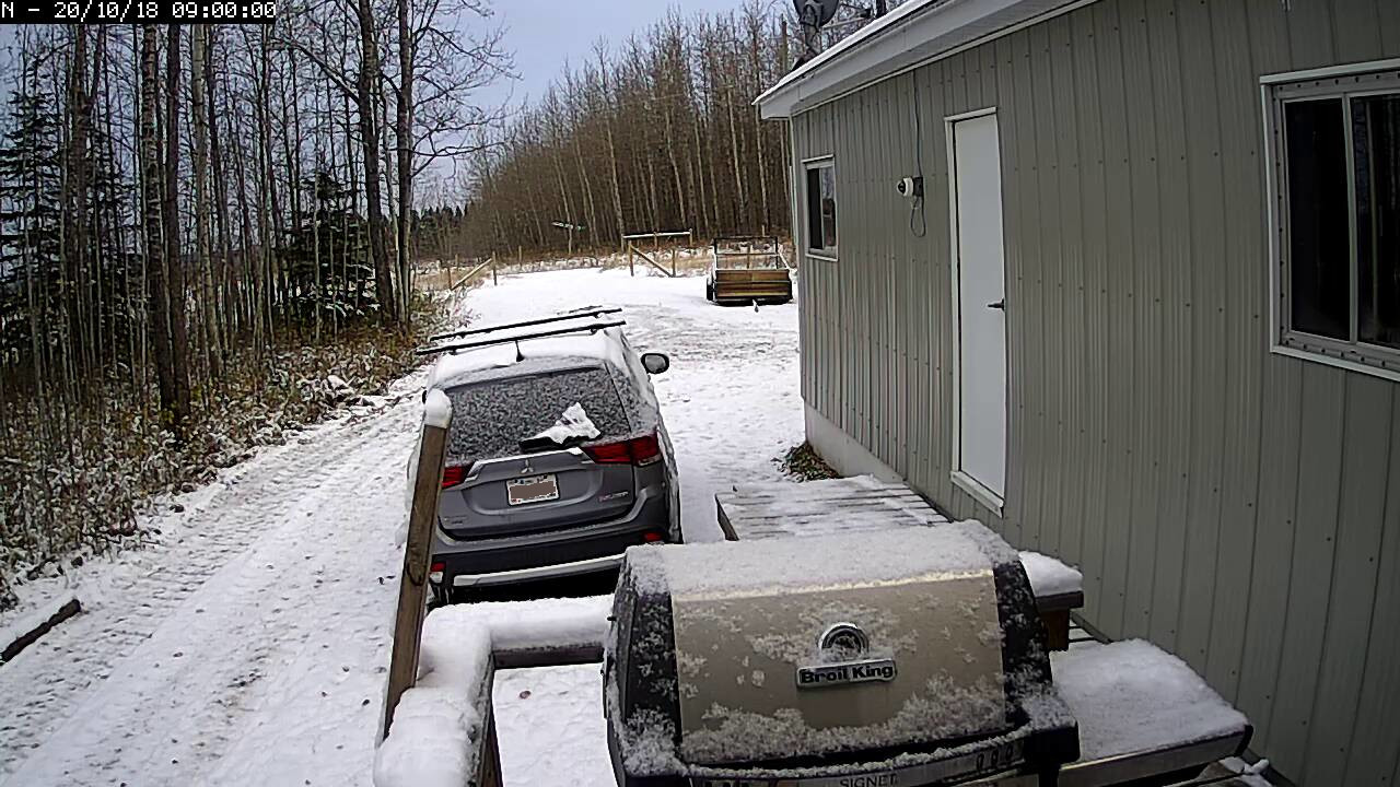 snow.jpeg