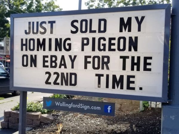 sold.jpg