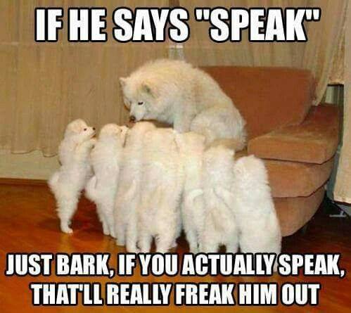 speak.jpg