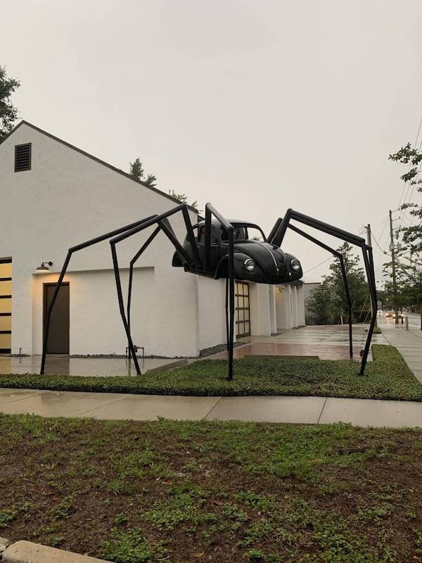 spider.jpg