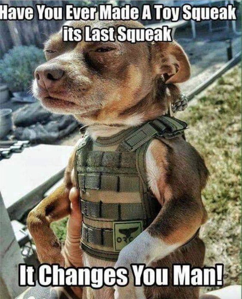 sqeek.jpg