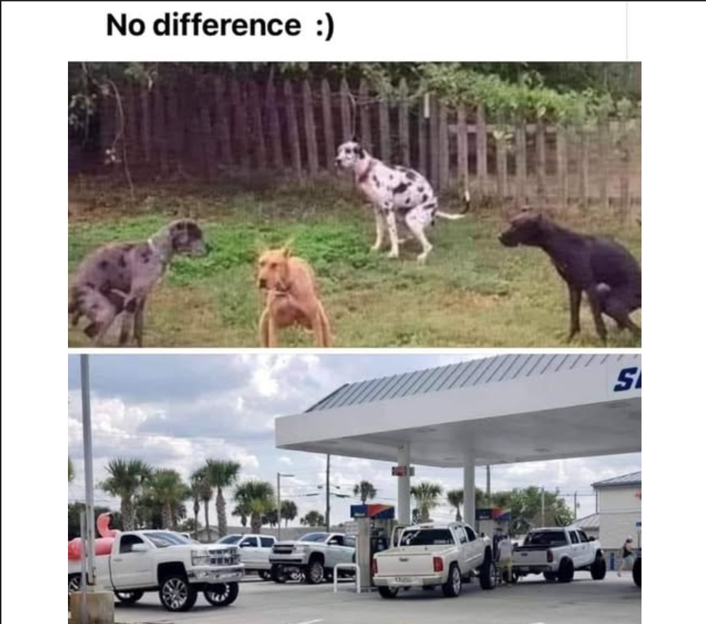 squatters.jpg