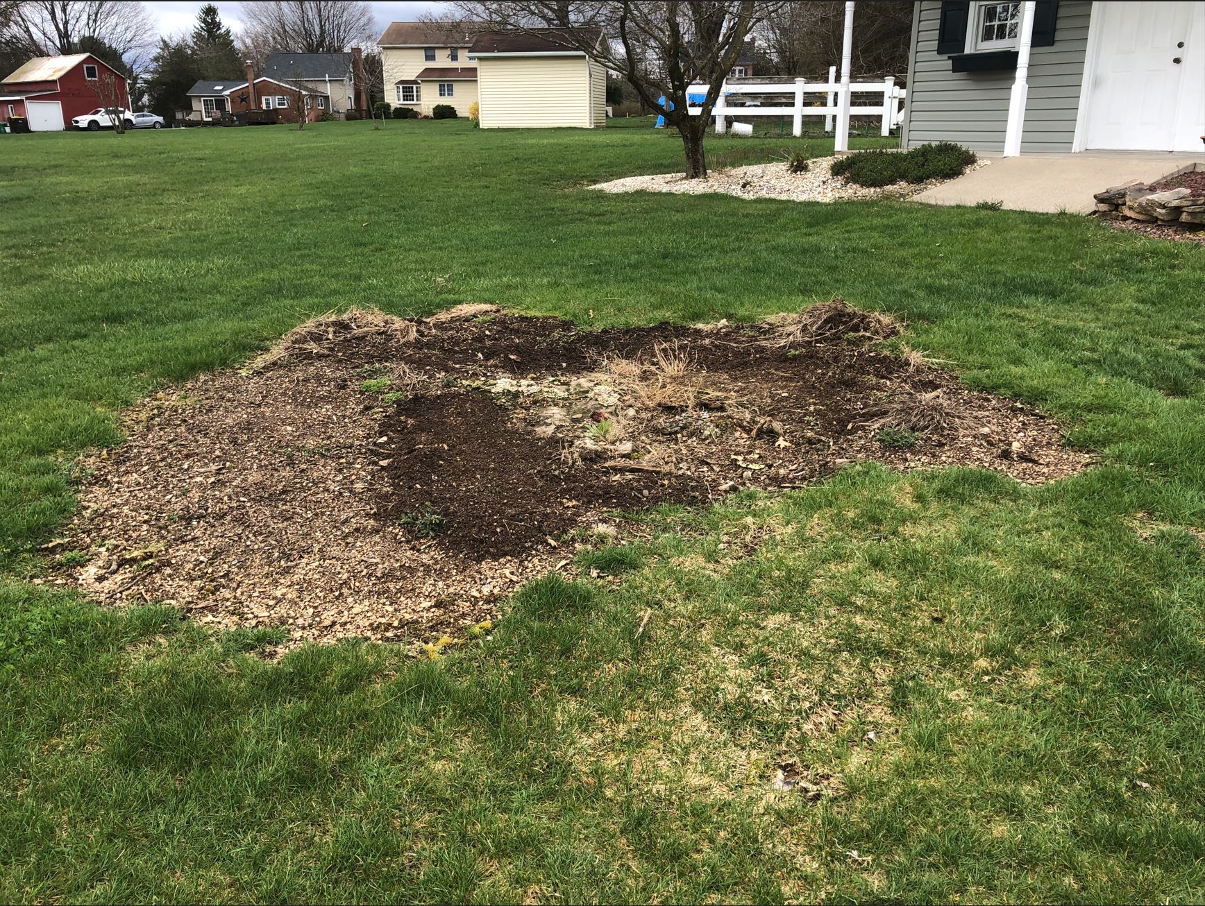Stannard stump 2.JPG