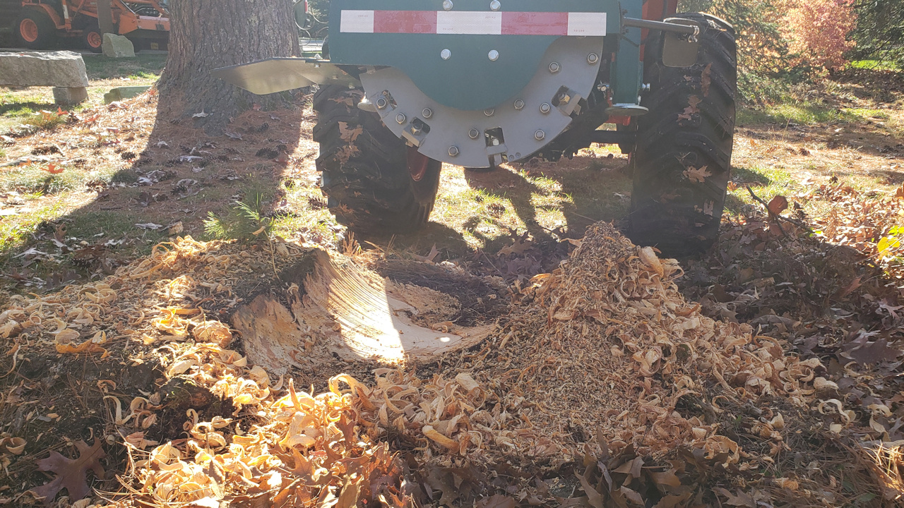 stump-grinder-1.jpg