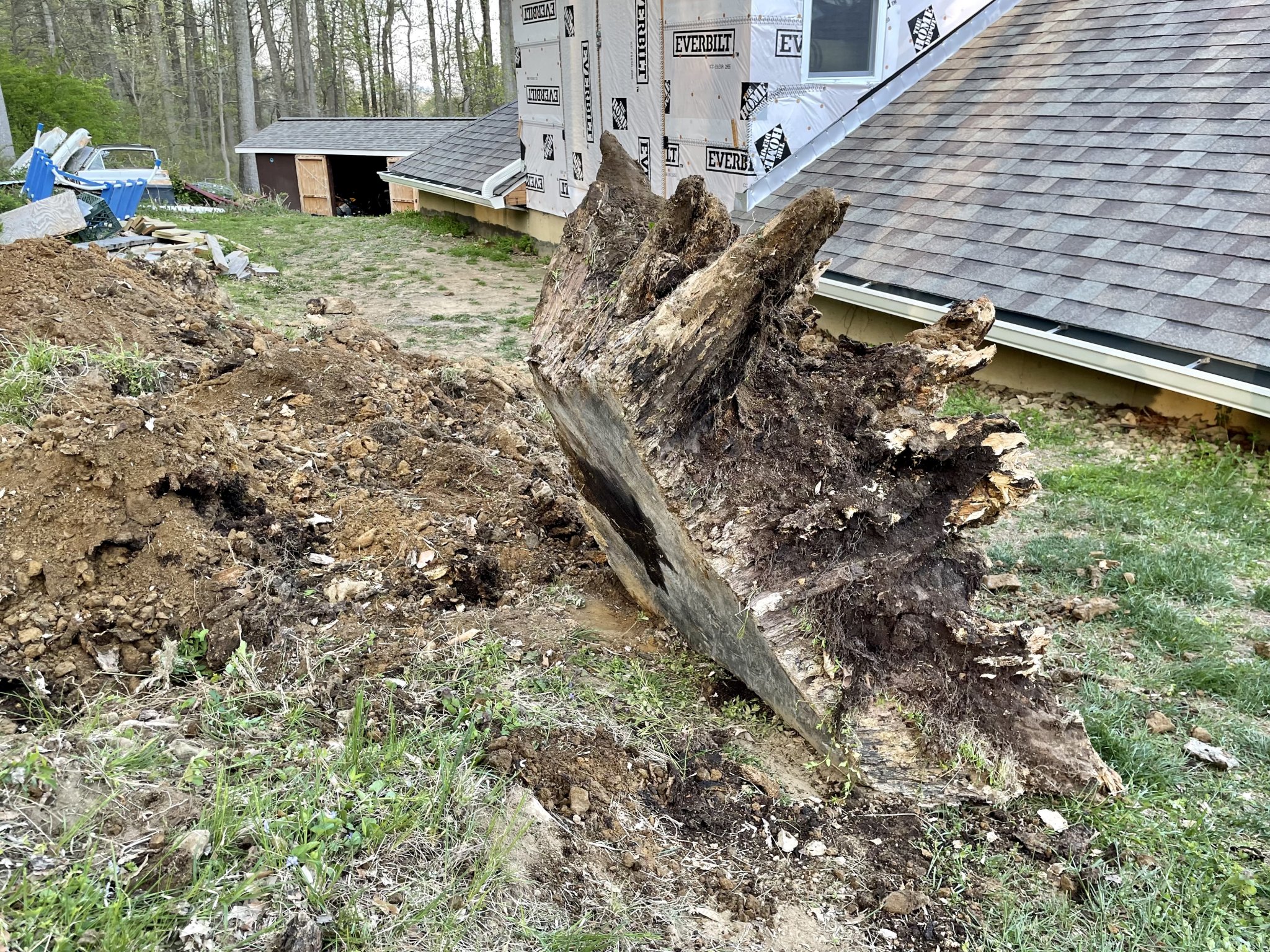 stump.jpg