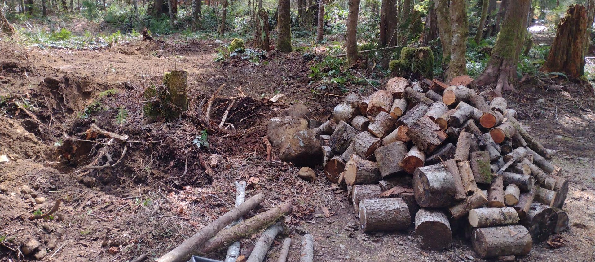 stump.jpg