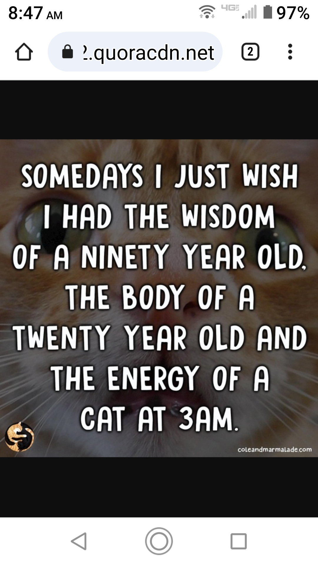 tapatalk_-800045005.png