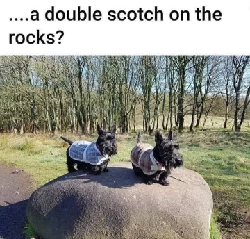 tapatalk_1436578172.jpeg