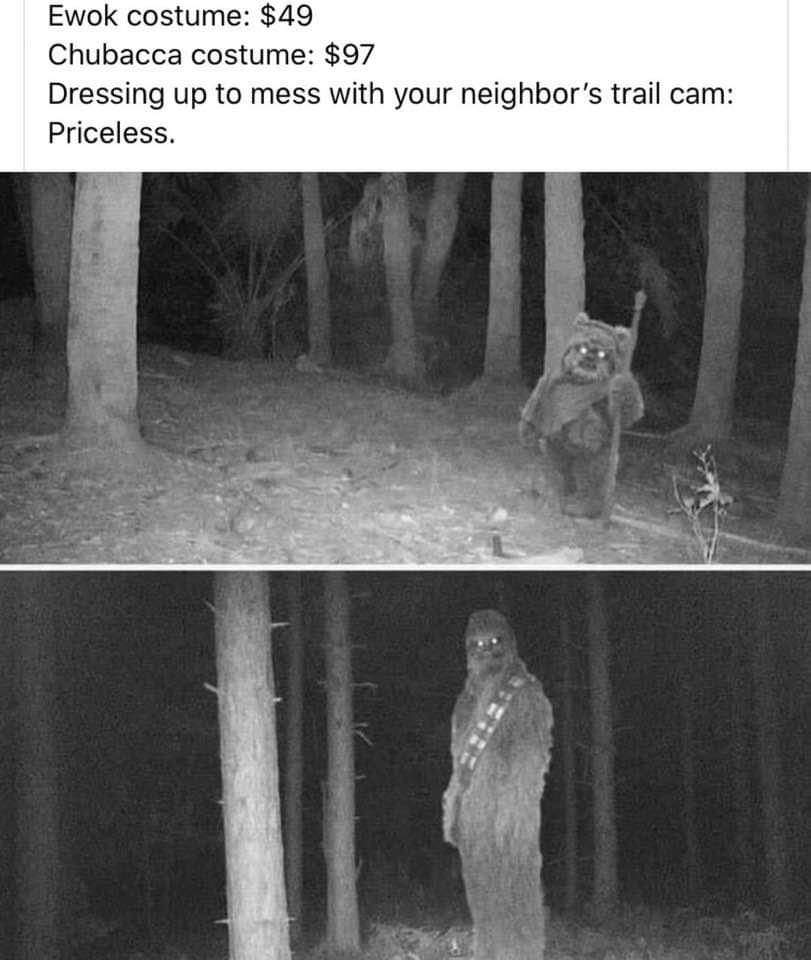 tapatalk_1565423529.jpeg