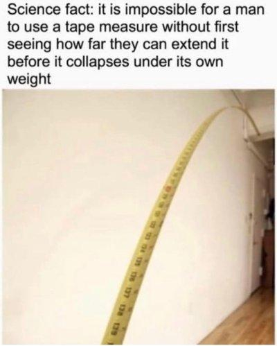 tapatalk_50380386.jpeg