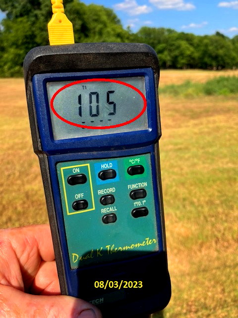 Temp080323.jpg