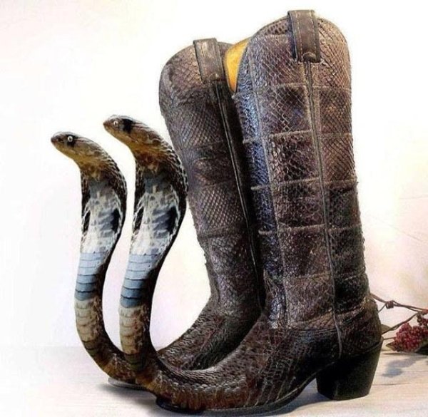 texas boots.jpg
