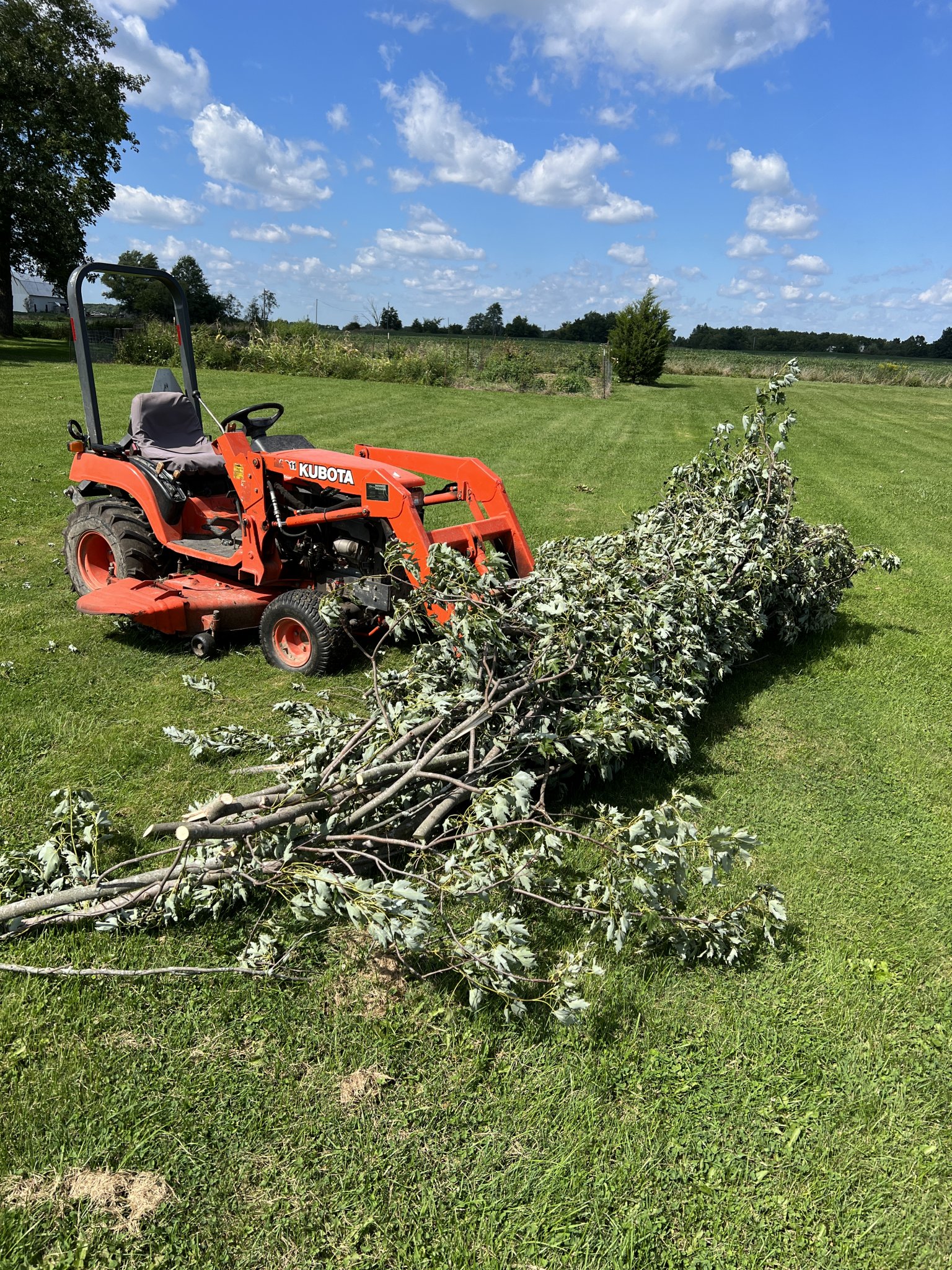 TractorBrush.jpg