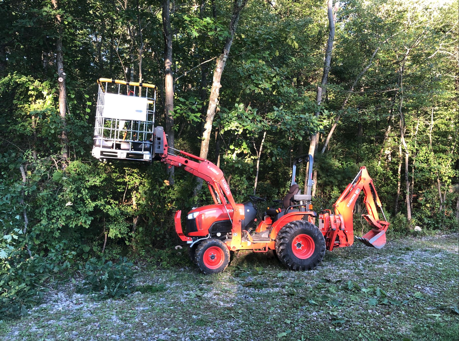 tree trimming.JPG