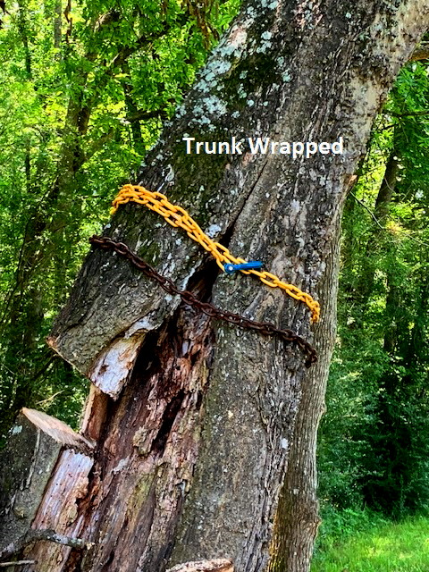 Trunk wrapped1.jpg