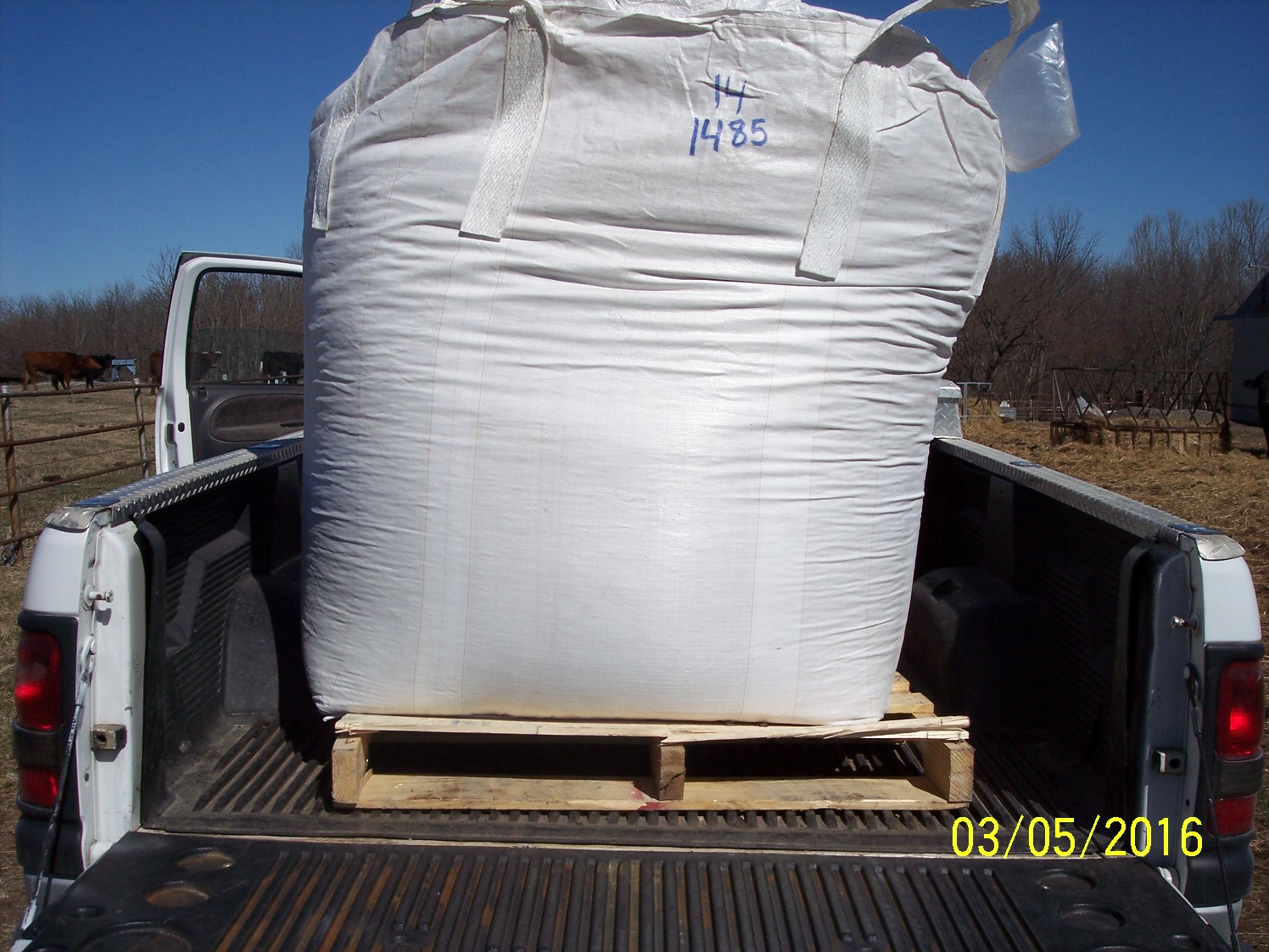 unloading grain 002.JPG