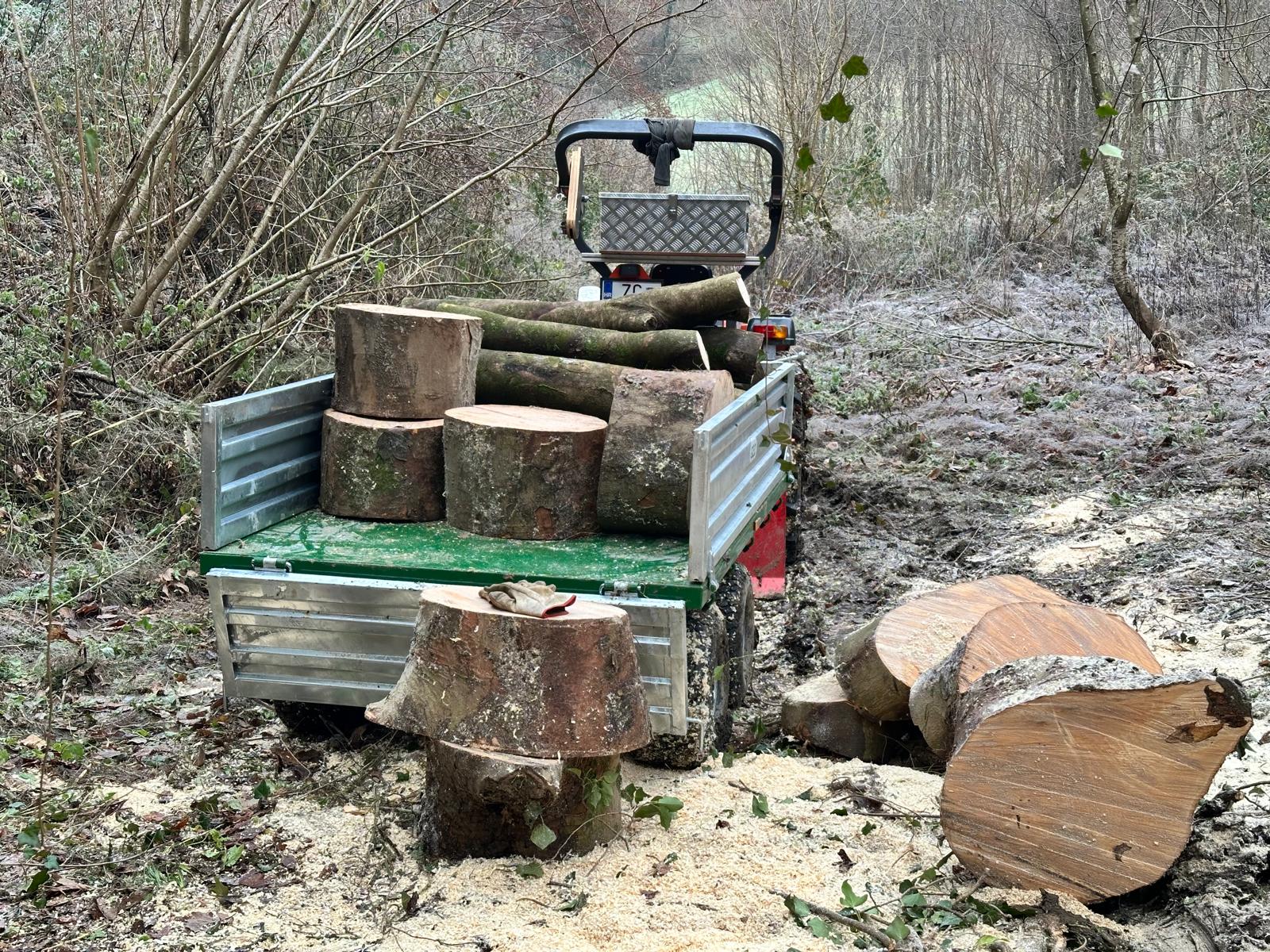 WhatsApp Image 2025-11-29 at 19.30.23.jpeg