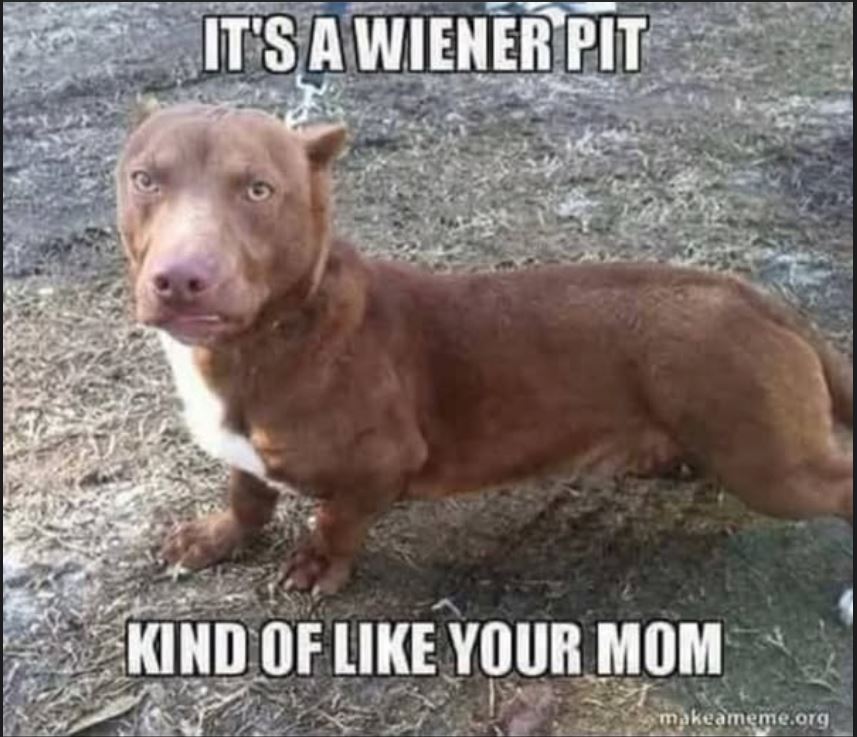 wienerpit.JPG