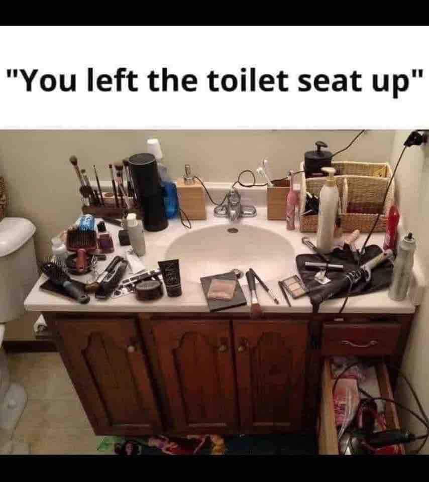 you left the toilet seat up.jpg