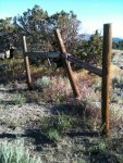 fence 2.jpg