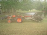 kubota w tree 001 [640x480].JPG