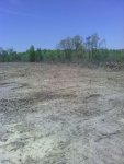 FIELD1.jpg