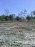 FIELD2.jpg