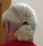 ponytail.jpg ponytail.jpg