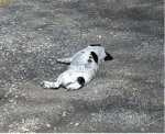 nap.jpg
