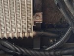 Lower oil cooler hose.jpg