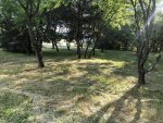 IMG_0841.jpeg
