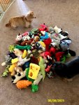 Maddie and Toys.jpg