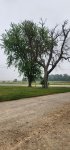 20230615_063418.jpg