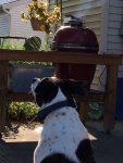 IMG_2336.jpeg