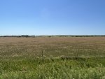IMG_8815.jpeg