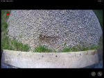 IMG_0096.PNG IMG_0096.PNG