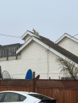 IMG_0747.jpeg
