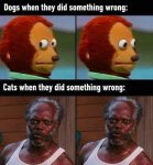 D1816E00-4A33-4A2E-90E0-486FCB57B699.jpeg