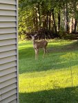 IMG_6065.jpeg