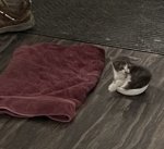 IMG_3499.jpeg