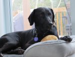 IMG_0333.jpeg