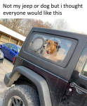 1695332354729.png